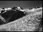 new zealand - franz joseph glacier 2.jpg